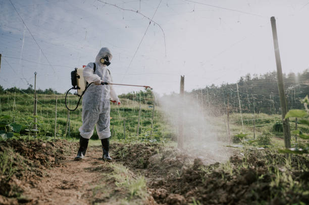Best Ant Control Services  in Pioneer Village, KY
